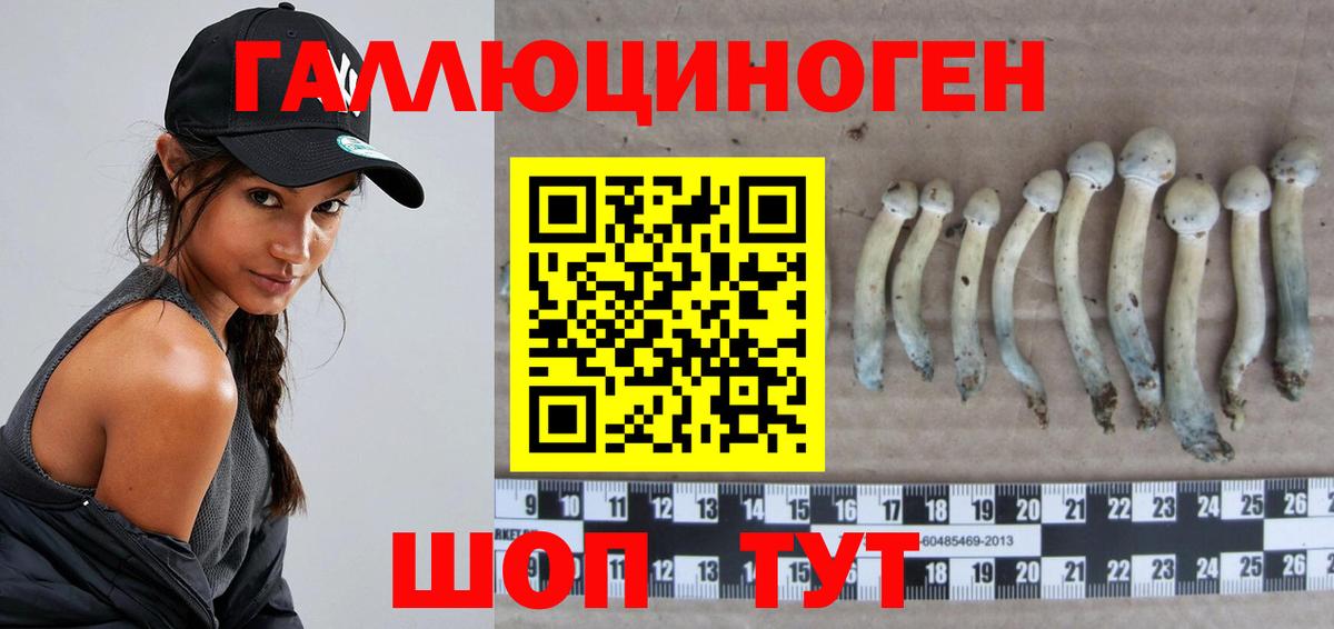 Галлюциногенные грибы прущие грибы Ковров